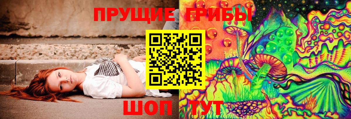 Галлюциногенные грибы прущие грибы  Псилоцибиновые грибы мицелий  Кызыл  Вход с VPN 