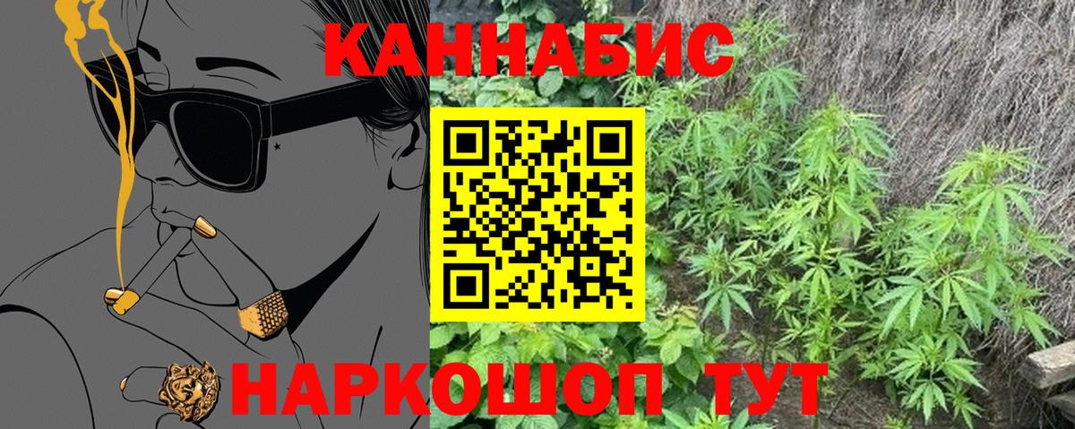 Кызыл  Шишки марихуана планчик  Канабис планчик  Вход с VPN  Марихуана план 